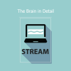 Susan Fralick‑Ball presenting The Brain in Detail training for clinicians and neuroscience professionals