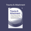 Terry Levy presenting Trauma & Attachment training for mental health professionals