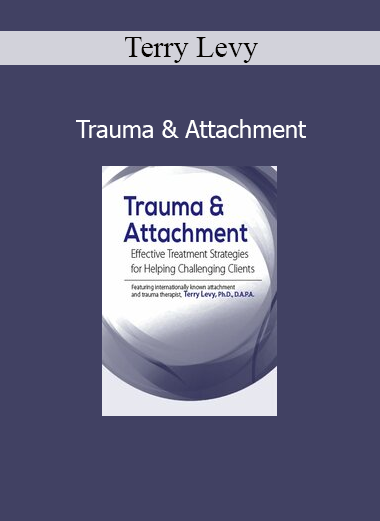Terry Levy presenting Trauma & Attachment training for mental health professionals