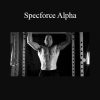 Todd Lamb leading the Specforce Alpha program to build tactical muscle, functional strength, and elite-level conditioning