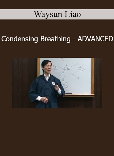 Waysun Liao teaching advanced Condensing Breathing techniques for internal energy refinement and Daoist cultivation