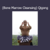 Practitioner demonstrating Xi Sui Jing Qigong techniques for bone marrow cleansing and internal vitality
