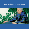 Download Xie Pieqi YSB Bodywork Techniques course - Traditional healing arts