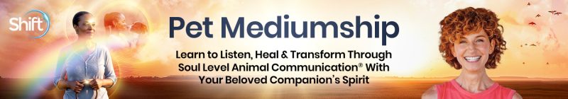 Danielle MacKinnon - Pet Mediumship 2025