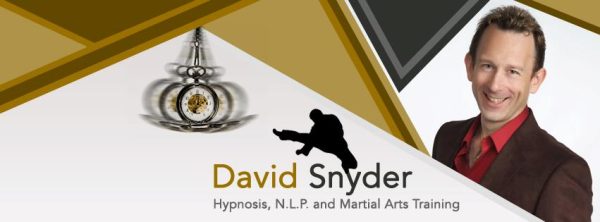 David Snyder - 10x Courses Bundle