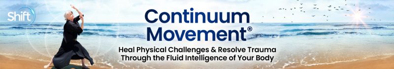 Donnalea Van Vleet Goelz, PhD - Continuum Movement 2025
