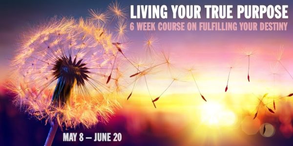 Kristopher Dillard - Living Your True Purpose