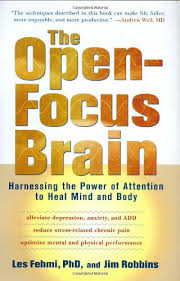 Les Fehmi - Open-Focus - Level 1-3(2016)