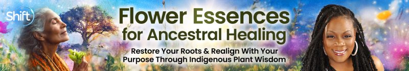 Lindsay Fauntleroy, LAc - Flower Essences for Ancestral Healing 2025
