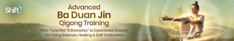 Master Faye Li Yip - Advanced Ba Duan Jin Qigong Training 2025