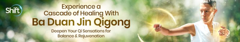 Master Faye Li Yip - Experience a Cascade of Healing With Ba Duan Jin Qigong