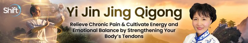Master Faye Li Yip - Yi Jin Jing Qigong 2025