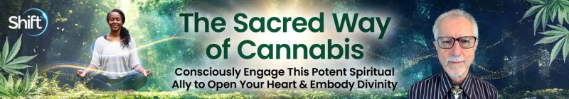 Stephen Gray - The Sacred Way of Cannabis 2025