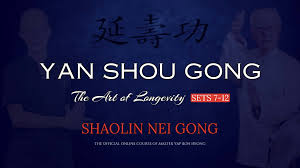 Yan Shou Gong - The Art of Longevity (Sets 7-12)