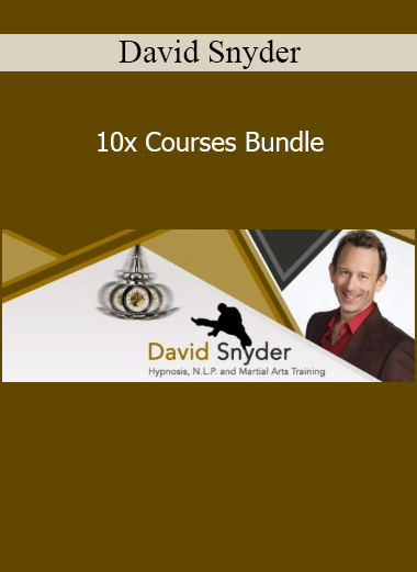 David Snyder 10x Courses Bundle online course