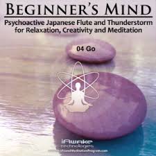 iAwake Technologies - Beginner's Mind (Neuroflow Series)