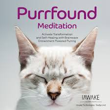 iAwake Technologies - Meditative Ocean (Energy Alchemy Series)