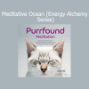 iAwake Technologies Meditative Ocean Energy Alchemy Series audio