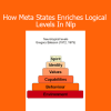 Michael Hall – How Meta States Enriches Logical Levels In NLP online course