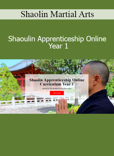 Shaolin Martial Arts Shaoulin Apprenticeship Online Year 1 training course