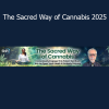 Stephen Gray The Sacred Way of Cannabis 2025 online course