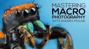 Andres Moline - Mastering Macro Photography