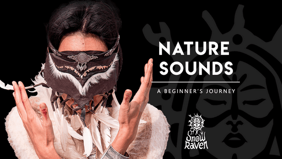Snow Raven - Nature Sounds A Beginner’s Journey 2025