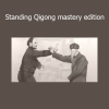 Bruce Frantzis Standing Qigong Mastery Edition course