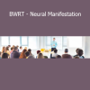 Terence Watts BWRT Neural Manifestation course