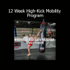 Flexibility Maestro 12 Week High-Kick Mobility Program online course