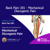 Mark Laslett Back Pain 301 Mechanical Discogenic Pain – Advanced Diagnosis and Management of Lumbar Disc Disorders
