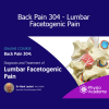 Mark Laslett Back Pain 304 Lumbar Facetogenic Pain online course