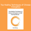Paul Wong Top Healing Techniques of Chinese Energetics online course