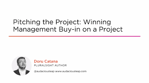 Doru Catana - Pitching the Project Winning Management Buy-in on a Project