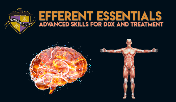 Efferent Essentials - Techniques for Peripheral and Central Lesions (530)