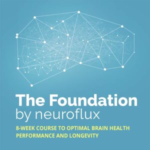 Neuroflux - The Foundation