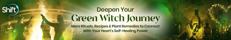 Robin Rose Bennett - Deepen Your Green Witch Journey 2024