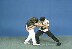 Shuai Jiao - Mastering Chinese Wrestling Peter Chema