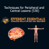 Efferent Essentials course on techniques for assessing and treating peripheral and central lesions