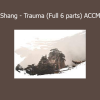 Jeffrey Yuen teaching the Shang Trauma ACCM six-part series on classical Chinese medicine approaches to trauma