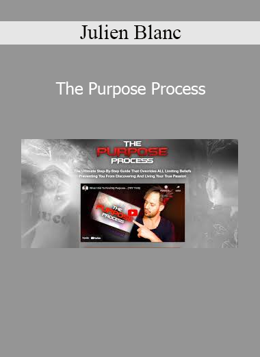 Julien Blanc teaching The Purpose Process personal development and identity alignment framework