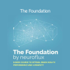 Neuroflux The Foundation program for neural optimization and cognitive enhancement training