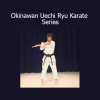 Rod Mindlin – Okinawan Uechi Ryu Karate Series training course
