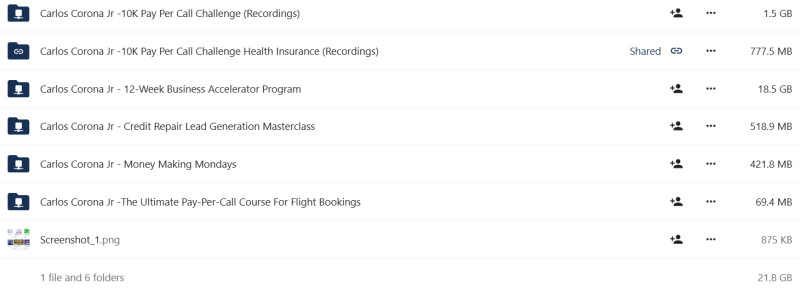 Carlos Corona Jr - 12-Week Business Accelerator Program