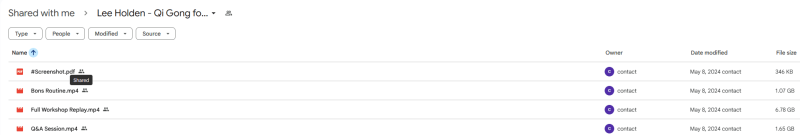 Lee Holden - Qi Gong for Fatigue