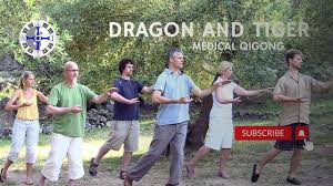 Paul Cavel - Dragon & Tiger Medical Qigong Part 1