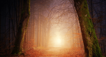 Prune Harris - The Healing Power of Ceremony