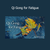 Lee Holden Qi Gong for Fatigue course